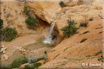 Wasserfall im Water Canyon